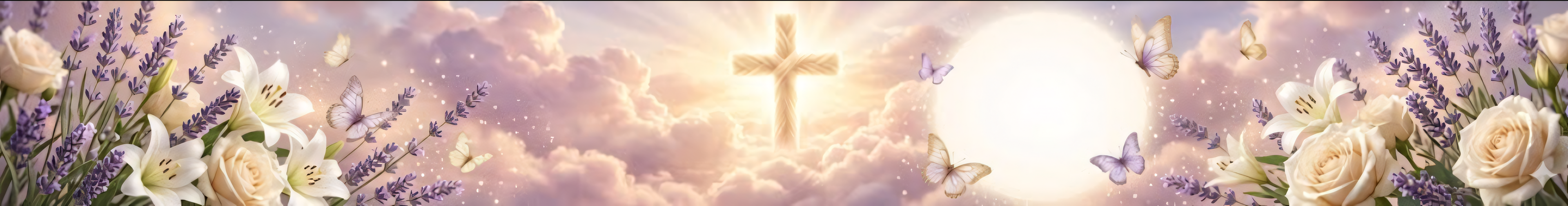 collection-banner-image